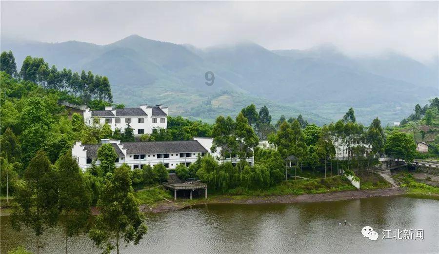 梦见我把白色羊从我家楼上推下去摔死了流了一大滩血这是什么意思啊-有问必答平台