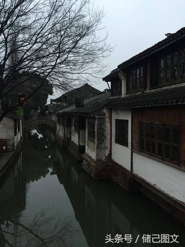 月光影视